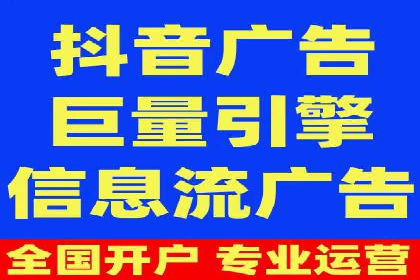 SEM优化技巧：实战案例深度剖析